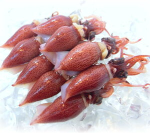 z^CJ t̐V uG {Cz^CJ xRpY300g ① gz^CJ (1pbN300gj