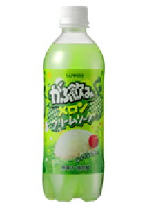 Tb|@Ԉ݃N[\[_@500mlybg@24{