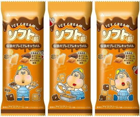 赤城乳業 ソフト君 伝説のプレミアムキャラメル95ml×24袋