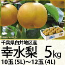 千葉県産白井地区産幸水梨5kg5L〜4L10玉〜12玉（220_梨26）