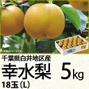 千葉県産白井地区産幸水梨5kgL18玉（220_梨26）