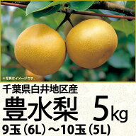 千葉県産白井地区産豊水梨5kg6L〜5L9玉〜10玉（220_梨26）