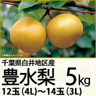 千葉県産白井地区産豊水梨5kg4L〜3L12玉〜14玉（220_梨26）