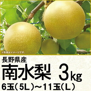 쌧Y쐅3kg5L`L6`11ʁi220_25j