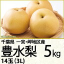 千葉県産豊水梨5kg3L14玉（220_梨26）