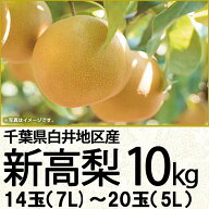 千葉県産白井地区産新高梨10kg7L〜5L14玉〜20玉（220_梨26）