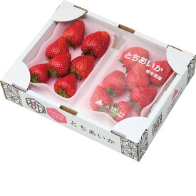 栃木県産とちあいか（220_25冬）