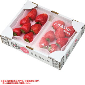 栃木県産とちあいか（220_25冬）