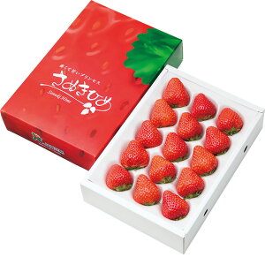 Ε@쌧YʂЂ߁i220_25~j