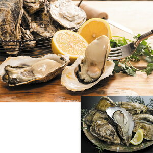 Ε@kCYT}2Nyiktji230_25~j