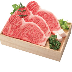 Ε@{苍T[CXe[LpIDK-100i210_25~j