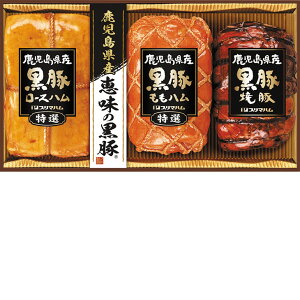 Ε@Yb̍BP-60(R)i210_25~j