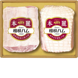 Ε@̓n{SR-503i210_25~j