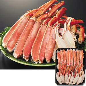 Ε@{C킢Ɂin[t|[Vji230_25~j