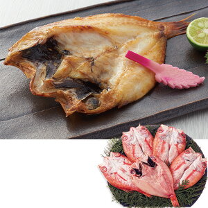 ysUERrj͏I܂zΕ@ԂނîǂjJi230_25~j