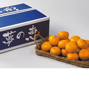 Ε@F{Y݂w̌bxi220_25~j