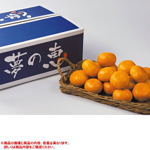 Ε@F{Y݂w̌bxi220_25~j