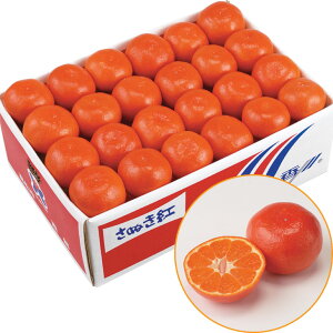 Ε@쌧Yʂg݂i220_25~j