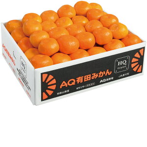 Ε@a̎RYLcx݂i220_25~j