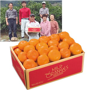 Ε@a̎RYLcNu݂i220_25~j