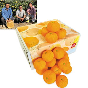 Ε@a̎RY킩܏M݂i220_25~j