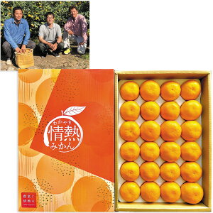 Ε@a̎RY킩܏M݂v~Ai220_25~j