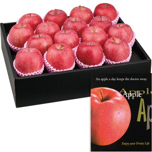 Ε@XYYnITӂ񂲁i220_25~j