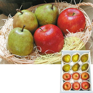 Ε@R`YނR`̓~ʎZbgi220_25~j