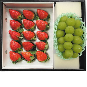 Ε@ƃVC}XJbg̃Zbgi220_25~j