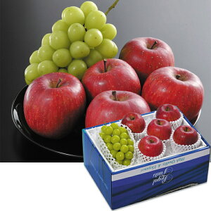 Ε@쌧YTӂ񂲂ƃVC}XJbg̃Zbgi220_25~j