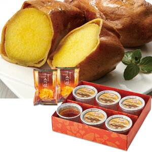 Ε@Yiqju݂PṽuvƏẴZbgi220_25~j