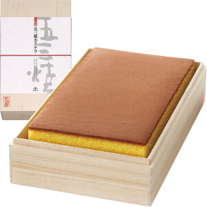 �y��s�U���E�R���r�j�����͏I�����܂����z���Ε�@�a�򉮌܎O�ăJ�X�e���˔��i240_25�~�j