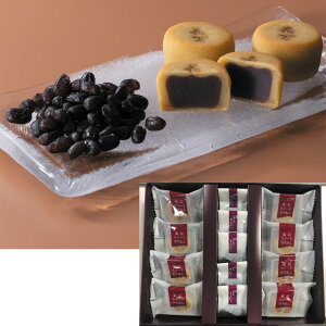 Ε@ԉʂÂȂƁEXC[g|elHM-114i240_25~j