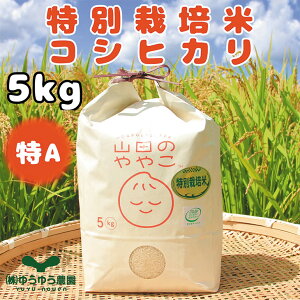 Ε@䂤䂤_ʍ͔|Ĉ錧YRVqJ5kgi250_25~j