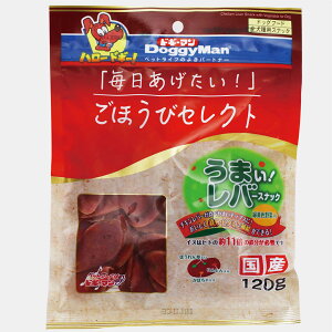 y|Cg15{@11/3܂ŁzقуZNg@܂Io[XibN@ΉFؓ