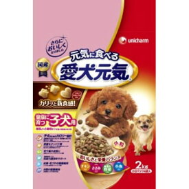 愛犬元気健康に育つ子犬用チキン・ささみ・緑黄色野菜・小魚入り
