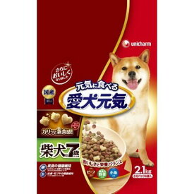 愛犬元気柴犬用7歳以上用ビーフ・緑黄色野菜・小魚入り