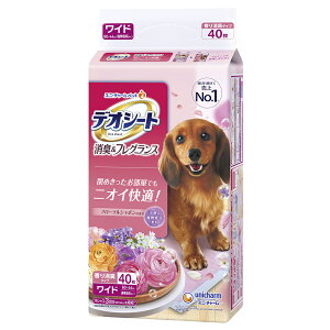 fIV[gLtOXt[V{̍胏Ch