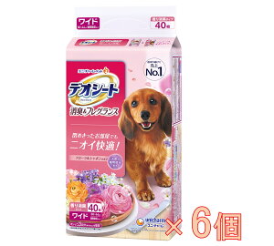 yP[X̔zfIV[gLtOXt[V{̍胏Ch