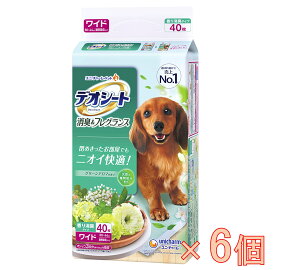 yP[X̔zfIV[gLtOXO[A}̍胏Ch