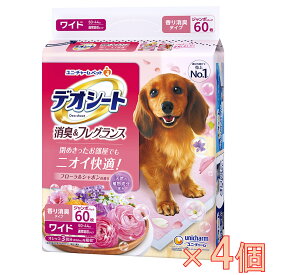 yP[X̔zfIV[gLtOXt[V{̍胏Ch