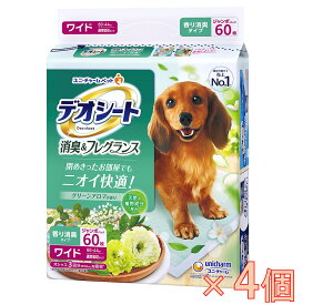 yP[X̔zfIV[gLtOXO[A}̍胏Ch