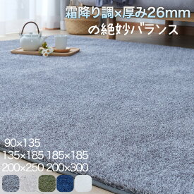 【15％OFFクーポン】ラグ シャギーラグ ラグマット カーペット 約1畳 1.5畳 2畳 3畳 4畳 ウレタン入り 滑り止め付き ラグカーペット 遮音 厚手 抗菌防臭 おしゃれ 北欧 長方形 洗える オールシーズン 大きめ 小さめ 絨毯 90×135 135×185 185×185 200×250 200×300