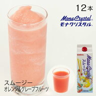 フローズンスムージーベースブラッドオレンジ ＆ ピンクグレープフルーツ　【業務用　1,000ml×12本入】…