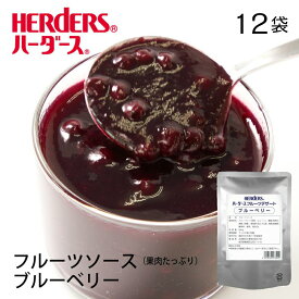 ハーダース フルーツデザート ブルーベリー　【業務用　500g×12袋入】ヨーグルト ケーキトッピング ソース 果物 フルーツ デザート スイーツ ブルーベリーソース 業務用 フルーツソース アイスクリーム パンケーキ ラッシー