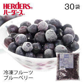 ＜冷凍フルーツ＞ハーダース IQFフルーツブルーベリー 【業務用　300g×30袋入】本州は送料無料でこの価格！冷凍 冷凍食品 フルーツ 果物 果実 デザート アイス フローズン 業務用 ジャム 弁当 スムージー パフェ ヨーグルト サイダー ラッシー スイーツ タルト