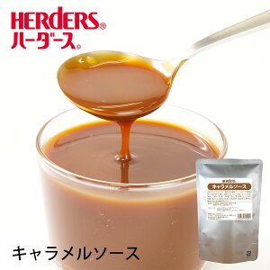 n[_[X L\[X 500g gbsO \[X fU[g XC[c L Ɩp