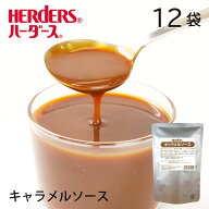ハーダース キャラメルソース【業務用　500g×12袋入】おやつ トッピング ソース デザート スイーツ キャ…