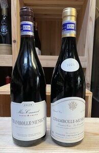 ჁIEJ~[⃔H[kE}lhEV[h[2021]C\[⃔H|kE}lgEveBEh[2023]2{Zbg