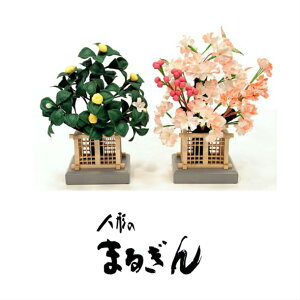 ykZbgz25y悻21cmz Pi k l ЂȂ܂̂